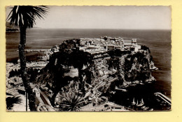 Monaco : Vue Générale Du Rocher De Monaco / CPSM (voir Scan Recto/verso) - Jardín Exótico