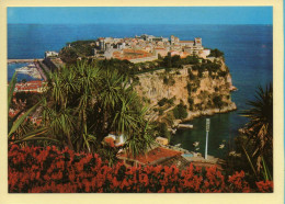Monaco : Le Rocher Et Le Jardin Exotique (voir Scan Recto/verso) - Jardin Exotique