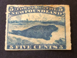 NEWFOUNDLAND   SG 43  5c Blue - 1865-1902