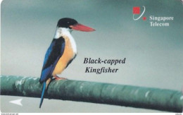 SINGAPORE(GPT) - Black Capped Kingfisher, CN : 25SIGA/B, Tirage 60000, Used - Singapur