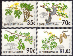 BOPHUTHATSWANA -   Acacias - Trees