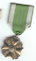 BELGIQUE Décoration Civique Pour Pompier, Médaille D'argent - Belgio