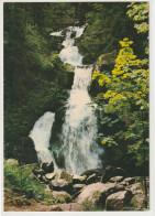 Triberg, Wasserfall - Triberg
