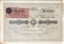 Rare - Vienne 1893: K. K. Priv. Lebensversicherungsgesellschaft österreichischer Phönix In Wien - Mines