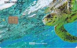 ISN-192 TARJETA DE ESPAÑA DE ISERN  DE LA SERIE FAUNA Nº24 - TORTUGA-TURTLE - Emisiones Básicas