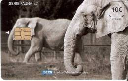 ISN-105 TARJETA DE ESPAÑA DE ISERN DE SERIE FAUNA Nº7 ELEFANTE- ELEPHANT - Emissioni Di Base