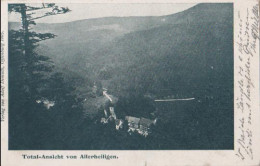 11638 - Oppenau - Allerheiligen - Total-Ansicht - Ca. 1925 - Oppenau