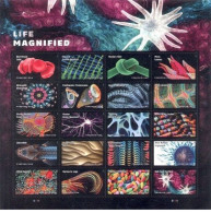 Estados Unidos United States USA 2023 - Life Magnified Miniature Sheet Mnh** - Ungebraucht