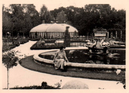 Lisboa - Lisbonne - Photo Ancienne Originale - Le Jardin D'acclimatation - Portugal - 6x8,5 Cm - Lisboa