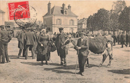 Nogent Le Rotrou * 1908 * Place Du Champ De Foire * Marché Aux Bestiaux * Villageois - Nogent Le Rotrou