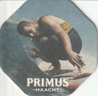 Primus Haacht - Sotto-boccale