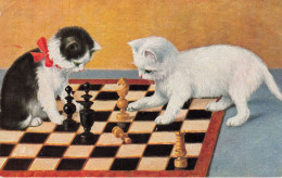 Chats Humanisés * CPA Illustrateur * Chat Cat Cats Katze * Le Jeu D'échecs * Chess Jeux Game - Cats