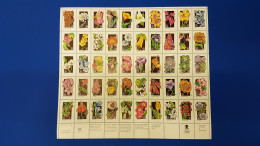 USA 1992 Mi.-Nr 2252-2301 Wildblumen Der US-Staaten,  50 Werte Im ZD-Bogen **  - Altri & Non Classificati