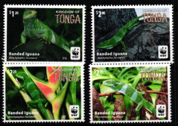 Tonga 2098-2101 Postfrisch Leguane #JV439 - Tonga (1970-...)