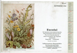 Buvard Calendrier SANOMEDIA Eucodal Septembre 1942 Gravure D'après Schmidthild Fleurs Des Champs Chardon - Chemist's