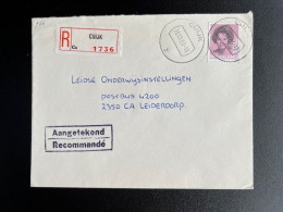 NETHERLANDS 1983 REGISTERED LETTER CUIJK TO LEIDERDORP 28-12-1983 NEDERLAND - Storia Postale