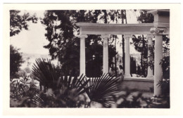 USSR 1955 ABKHAZIA SUKHUMI COLONNADE PALM GEORGIA PHOTO POSTCARD UNUSED SOVIET UNION - Georgië