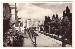 USSR 1955 ABKHAZIA SUKHUMI RUSTAVELI ALLEY GEORGIA PHOTO POSTCARD UNUSED SOVIET UNION - Georgien