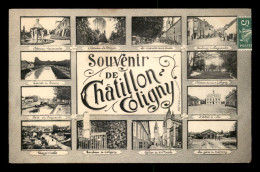45 - CHATILLON-COLIGNY - SOUVENIR MULTIVUES - Chatillon Coligny