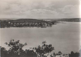 19545 - Bad Buckow - Schermützelsee - Ca. 1965 - Buckow