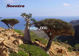 Socotra Island Landscape UNESCO Yemen New Postcard - Yemen