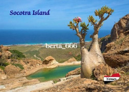 Socotra Island Landscape Cucumber Tree UNESCO Yemen New Postcard - Yemen