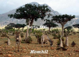 Socotra Island UNESCO Homhil Landscape Yemen New Postcard - Yemen