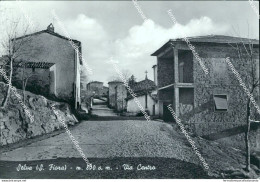 Br42 Cartolina  Selva S.fiora Via Centro Provincia Di Grosseto Toscana - Grosseto