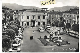 Liguria-la Spezia-sarzana Piazza Matteotti Veduta Piazza Auto Epoca Fermata Auto Corriera 5 Auto Corriere Ferme Animata - Otros & Sin Clasificación