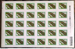 Brazil Regular Stamp RHM 790 Esporte Radical Surfe Perce In Wave 2000 Sheet - Neufs