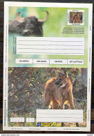 Brazil Aerogram Cod 0011b International Wolf Guará Fauna Gepro 2000 - Postwaardestukken