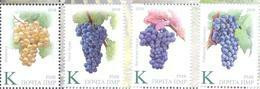 2019. Transnistria, Viticulture And Winemaking, 4v, Mint/** - Moldova