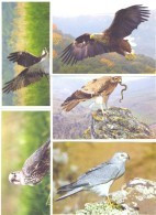 2016. Predatory Birds Of Moldova, Prepayed Post Cards, Set Of 9v, Mint/** - Adler & Greifvögel