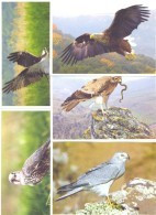 2016. Predatory Birds Of Moldova, Prepayed Post Cards, Set Of 9v, Mint/** - Águilas & Aves De Presa