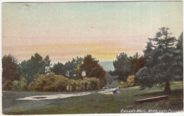 Cesar's Well, Wimbledon Common. - (England) - Ca.1908 - Surrey