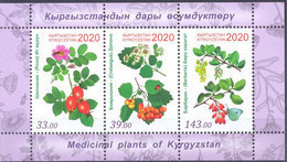 2020. Kyrgyzstan, Medical Plants Of Kyrgyzstan, S/s Perforated, Mint/** - Kirgisistan