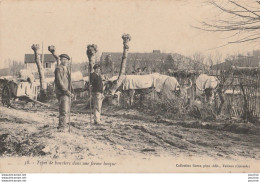 V15- TYPES DE BOUVIERS DANS UNE FERME BASQUE ELEVEUR BOVINS BERGER PYRENEES TALENCE GIRONDE METIER  CAMPAGNE - 2 SCANS ) - Elevage