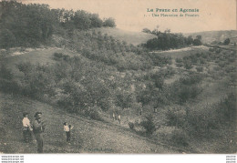 47) LA PRUNE EN AGEANIS - UNE PLANTATION DE PRUNIERS - (AGRICULTURE - EDITEUR A.CAVAILLE - LAROQUE TIMBAUT - 2 SCANS ) - Laroque Timbault