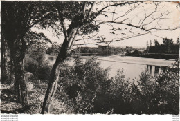 V4-82) ENVIRONS D 'AUVILLAR (TARN ET GARONNE) LES BORDS DE LA GARONNE  - ( 2 SCANS ) - Auvillar