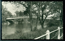 2141 - ESBLY SUR MARNE - CPSM - LES BORDS DE LA MARNE - Esbly