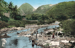 Martinique * Lavandières à La Rivière Du Carbet * Lavoir Laveuses Blanchisseuses - Other & Unclassified