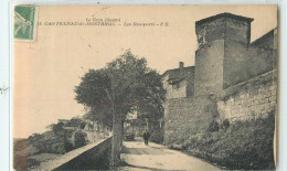 17419 - CASTELNAU DE MONTMIRAIL - LES REMPARTS - Castelnau De Montmirail