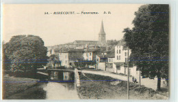 32570 - MIRECOURT - PANORAMA - Mirecourt