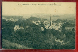 3416 - PALAISEAU - VUE GENERALE ET LA BUTTE CHAUMONT - Palaiseau