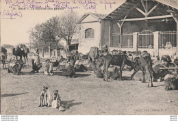 X3- SETIF (ALGERIE) LE MARCHE AUX GRAINS - ( ANIMATION - 2 SCANS ) - Sétif