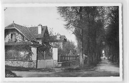 13627 - VERRIERES LE BUISSON - CPSM - AVENUE CARNOT - Verrieres Le Buisson