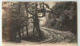 24353 - SAINT PRIX - CHEMIN DE LA FORET / MONTE DU LAPIN SAUTE - Saint-Prix