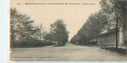 25996 - FRESNES - ETABLISSEMENT PENITENTIAIRE DE / L ALLEE PRINCIPALE - Fresnes