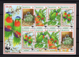 Niuafoou 1998 Worldwide Nature Conservation Blue Crowned Lory Birds WWF Animals Bird Animal W.W.F. Parrots Stamps MNH - Ongebruikt