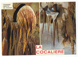 CPSM / CPM 10.5 X 15 Gard COURRY "La Cocalière" 1ère Grotte De France  Concrétions En "disque" - Saint-Ambroix